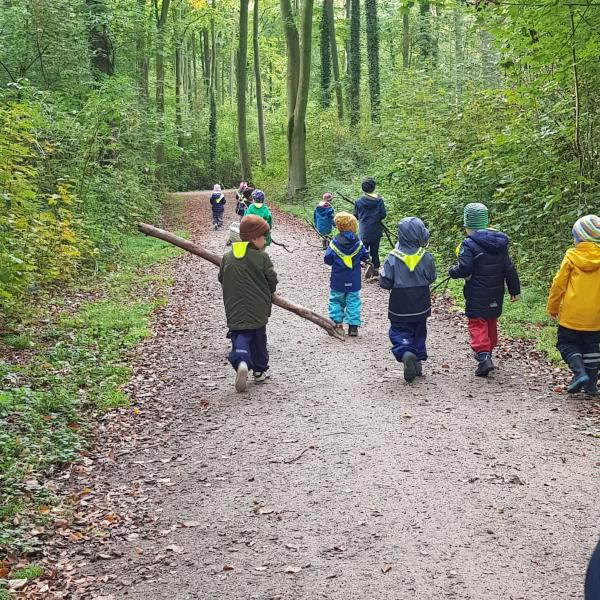 Mit allen Sinnen im bunten Herbstwald