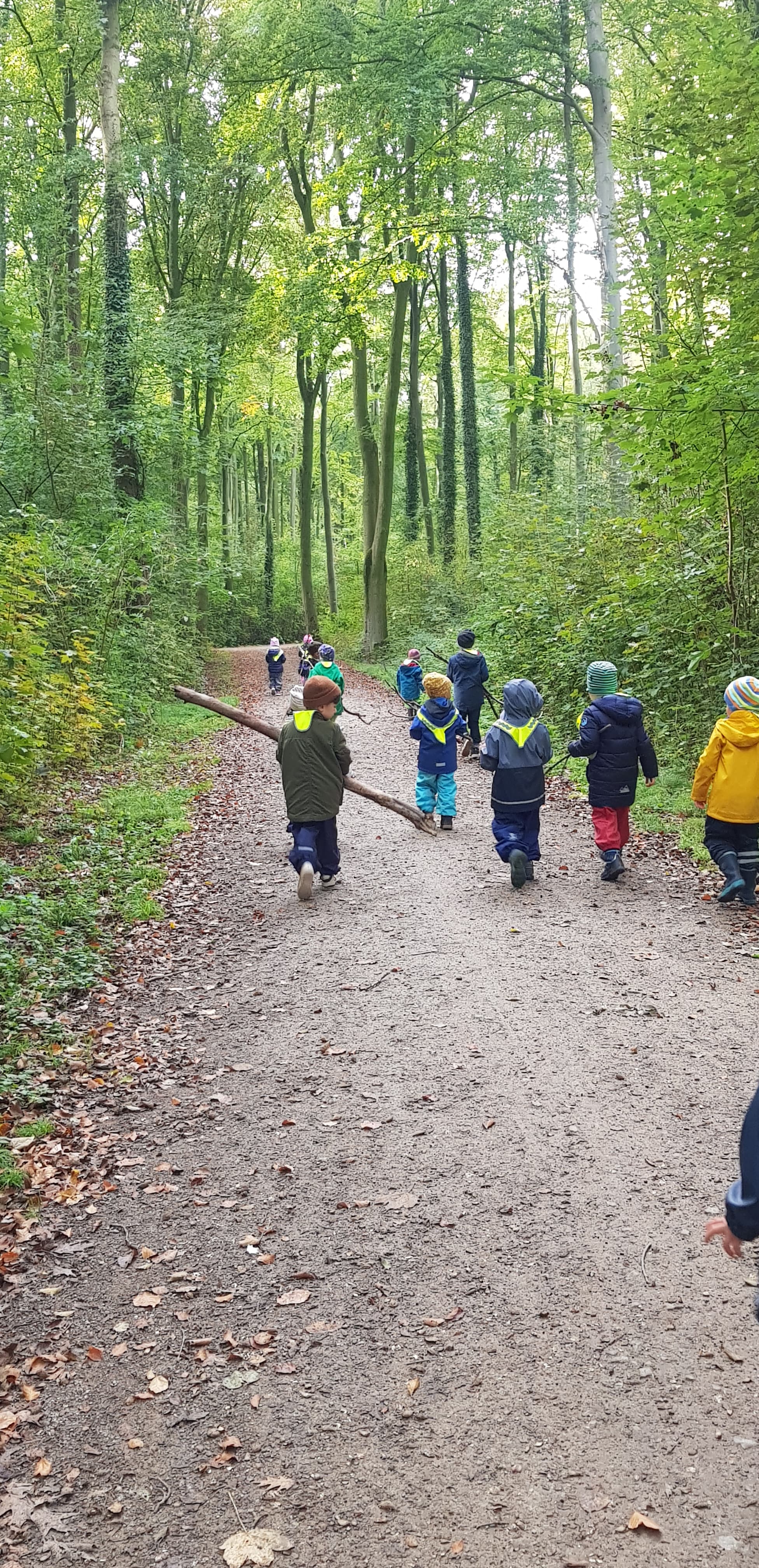 Mit allen Sinnen im bunten Herbstwald